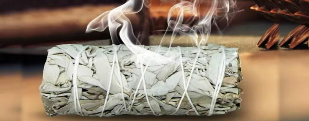 Sauge-Blanche-Pufirication